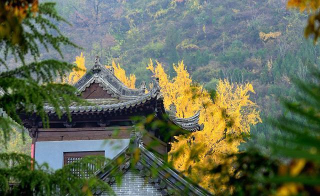 上海市|秋季国内旅游赏秋，去这5个地方，你绝对不会后悔，美成人间仙境