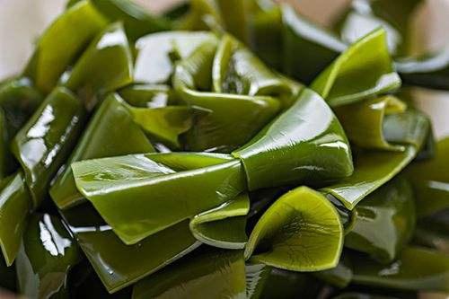 长寿|高血脂的“恩人”已找到,早晚吃一点,降血压、血脂,心脏更健康