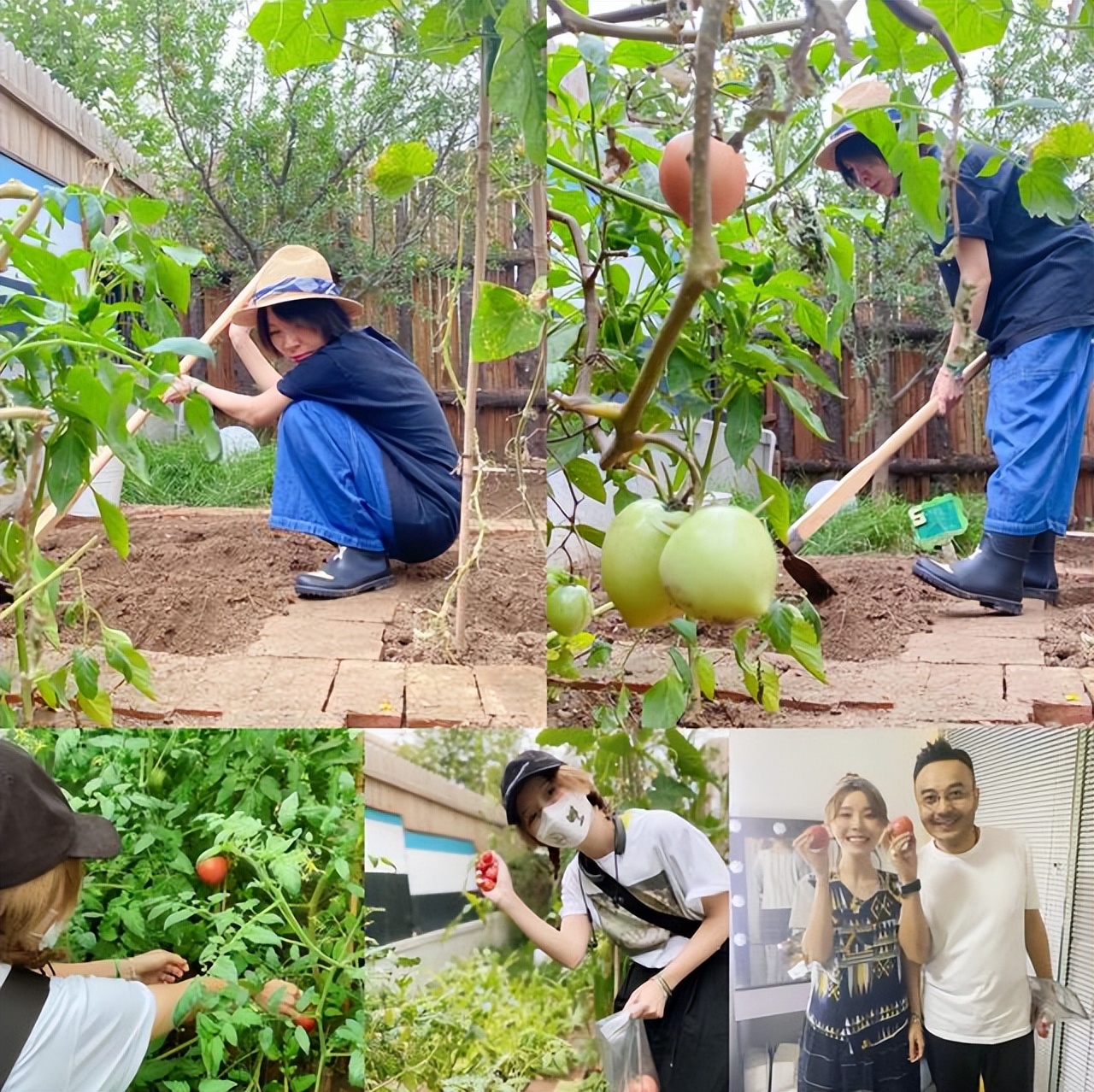 涪陵|黄雅莉在北京的豪宅火了:家中种满花草,这简直就是世外桃源