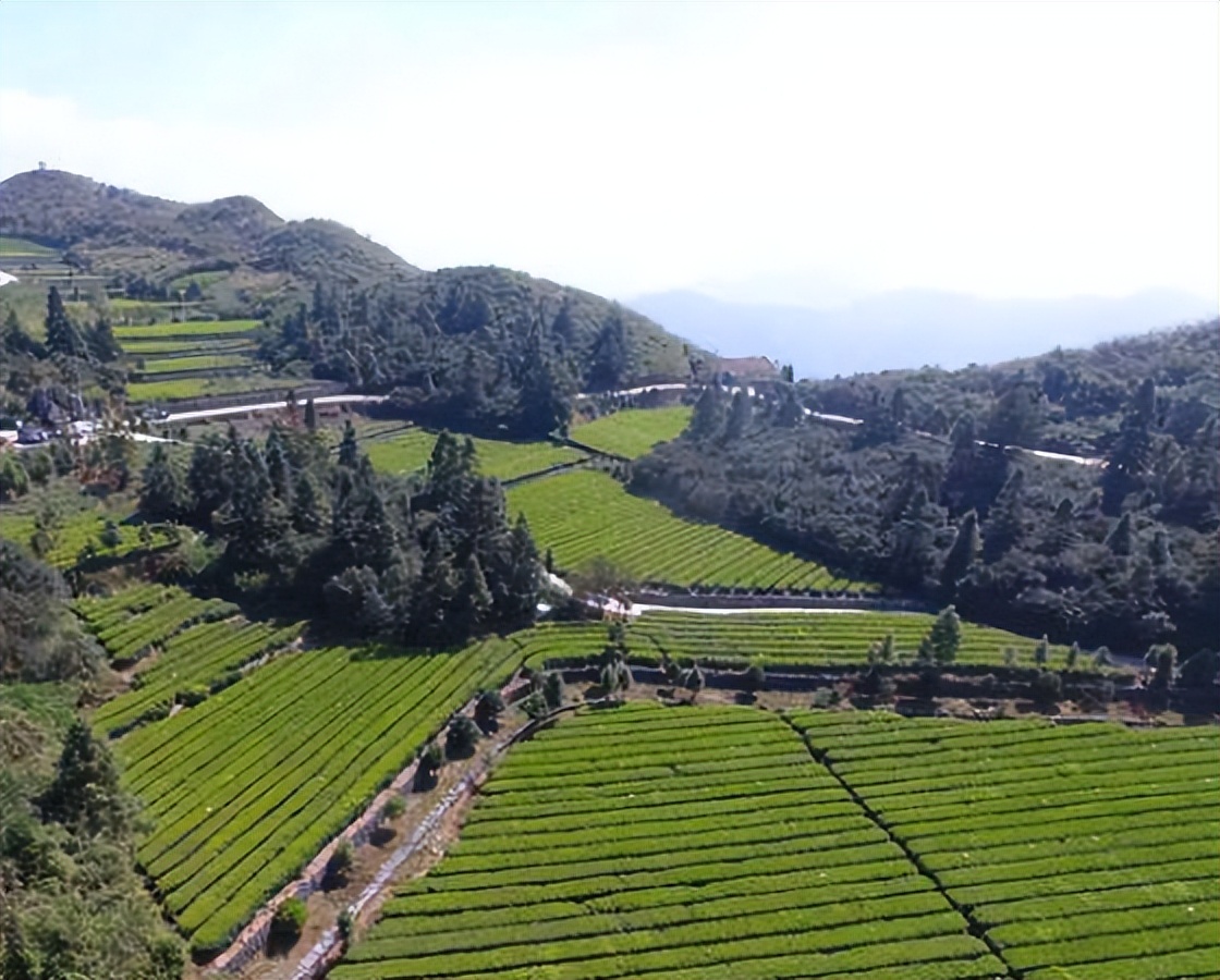 云台山|免费! 半价! 云台山风景区给全国中高考学子送福利啦！
