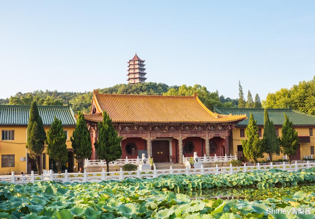 |再次荣登县域旅游竞争力榜首！这座宝藏小城，本身如同一个大景区