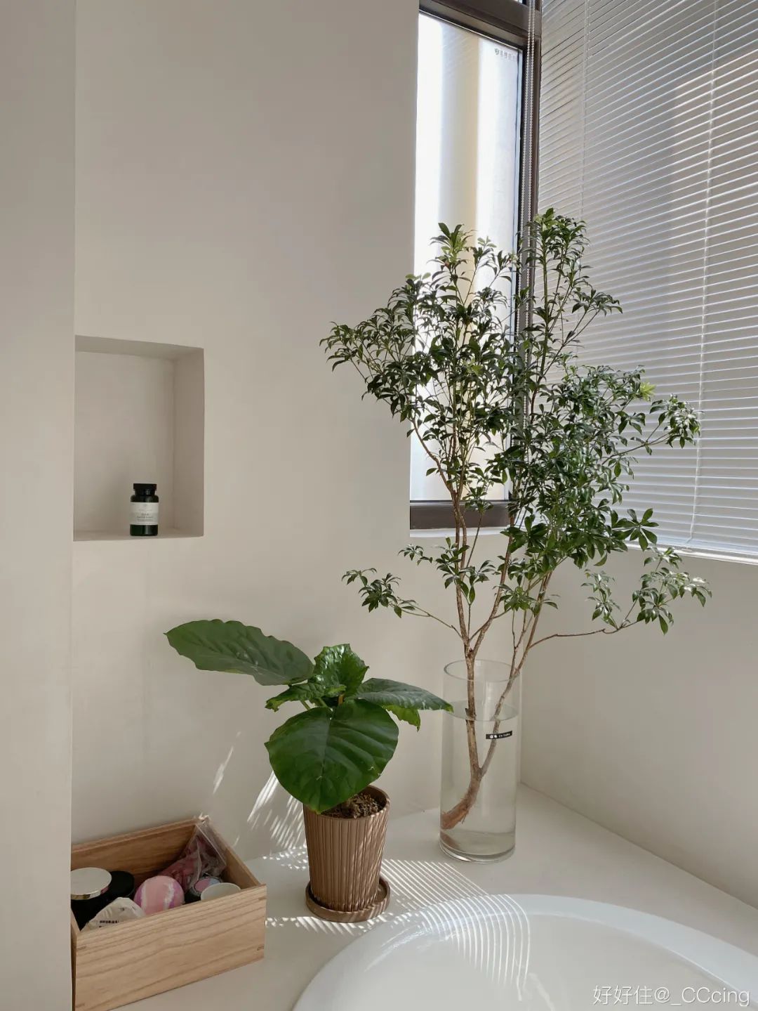邻居都羡慕哭了,她家绝美卫生间,到底赢在哪里?