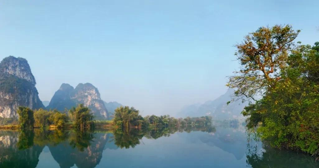 柿子|广西-崇左八景