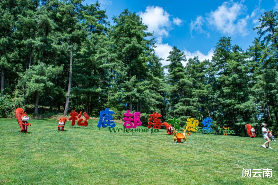 携程|昆明周边露营地盘点:森林草甸、高山牧场、热浪沙滩,不愁没去处