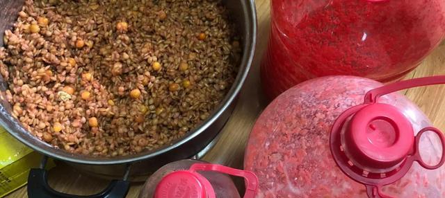 |钓鲫鱼的酒米五花八门,老钓鱼人带你正确认识酒米,少花冤枉钱