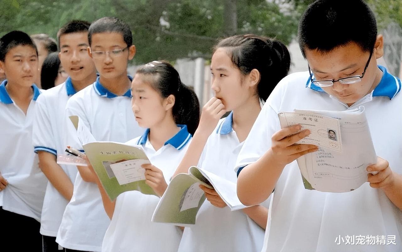 “胡鑫宇失踪事件”后续，致远中学“黑历史”被扒！