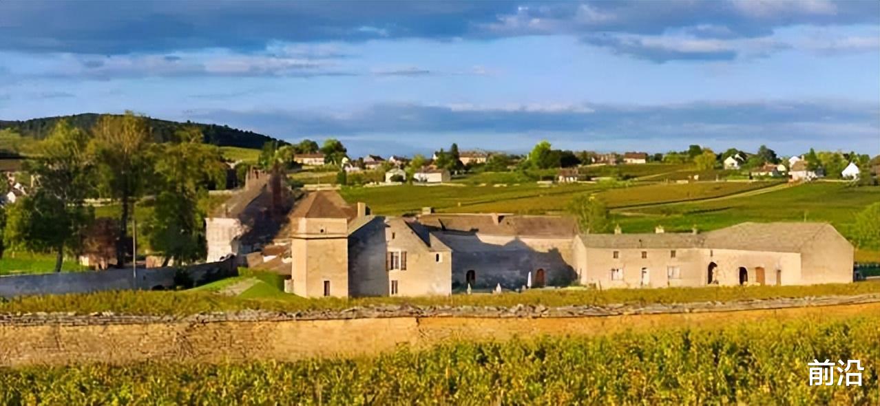 |法国勃艮第马宏吉、马沙内和梅克雷产区的葡萄酒简介