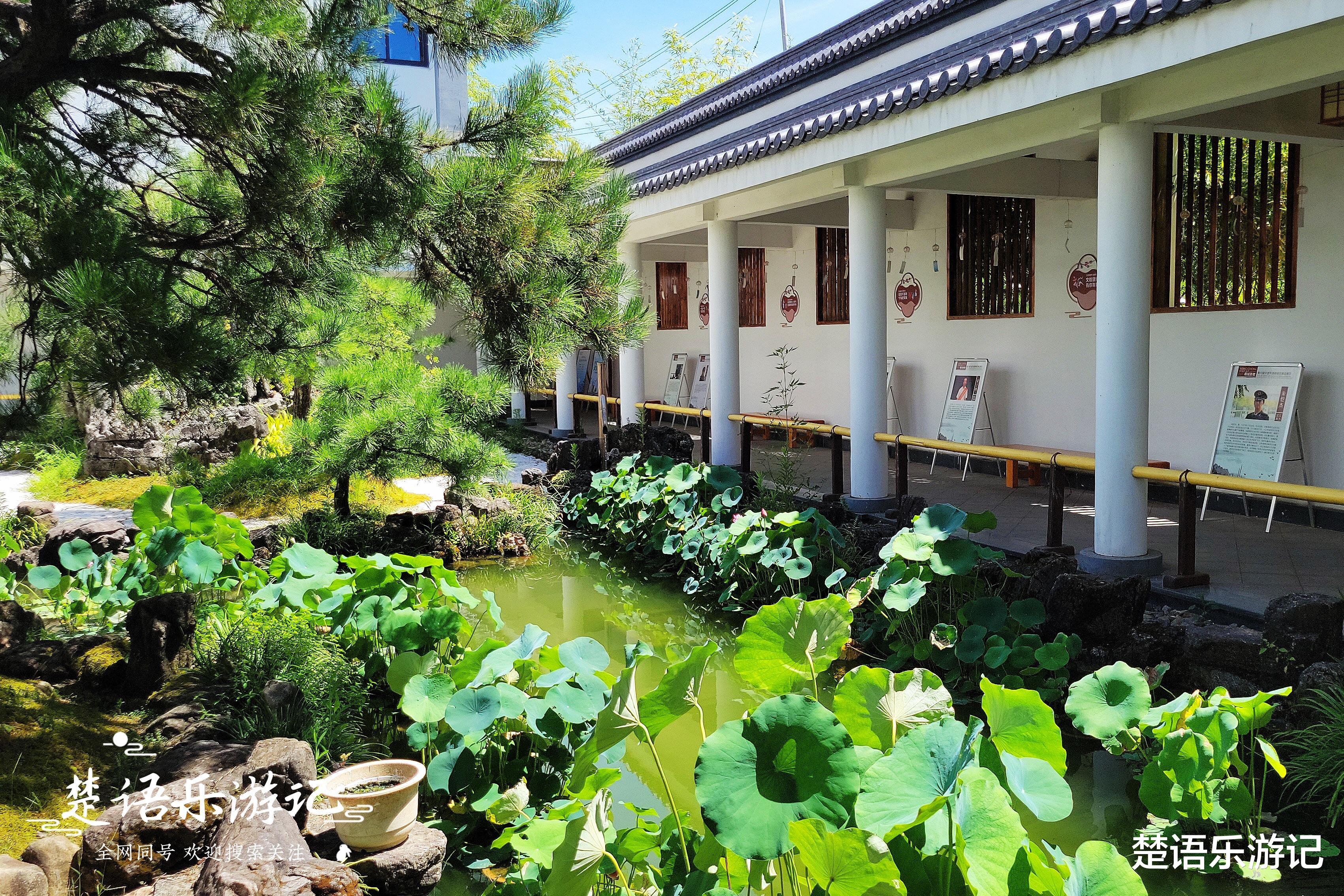 |宁海这里成为热门景点，据说可以“假装在京都”，真实情况如何？