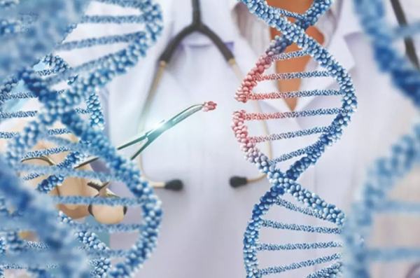 科学家创造出了首个“百毒不侵”的生命体,未来人类也能做到吗?