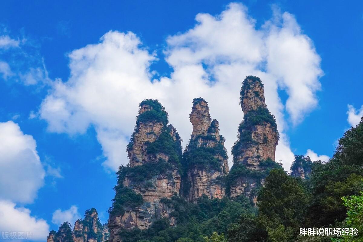 职场故事|职场中，表达谢意的时候要记住四个要点