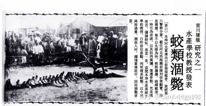 龙真的存在？甘肃盗墓团伙多次出入洞穴，掘出525公斤“龙骨”！