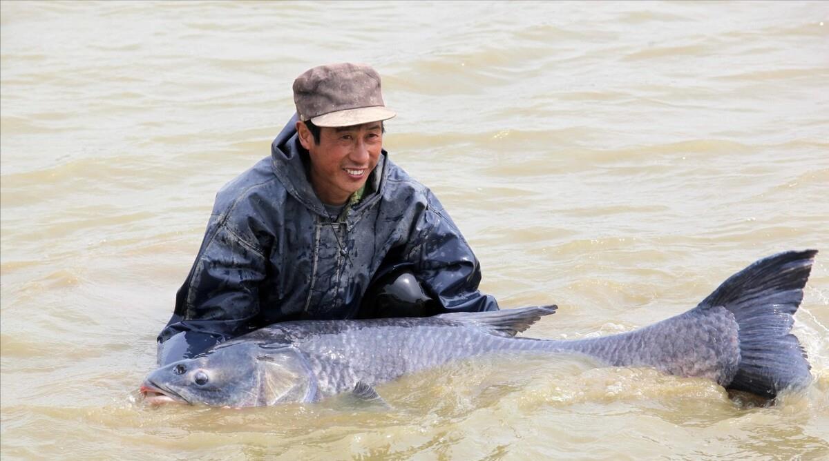 鄱阳湖一年淤沙620万吨,枯水期泥沙见底,为何不大规模采砂?