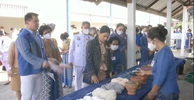 思蕊梵|新春佳节,神兽公主出席公务心情好开怀大笑,却因不停扇风被吐槽