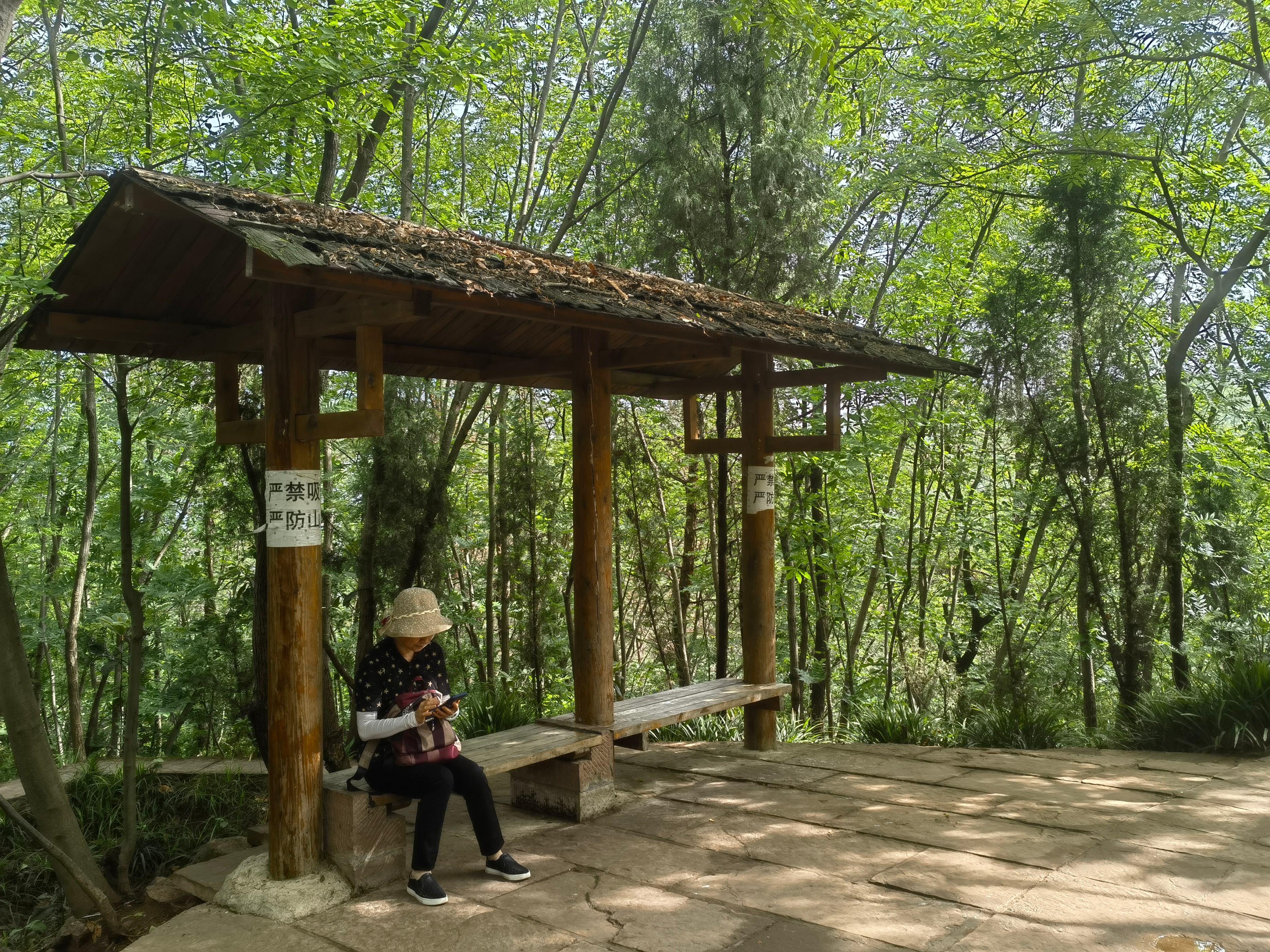 自驾|紫霞山，自驾前往半小时车程，户外爬山洗肺好去处，适合周末打卡