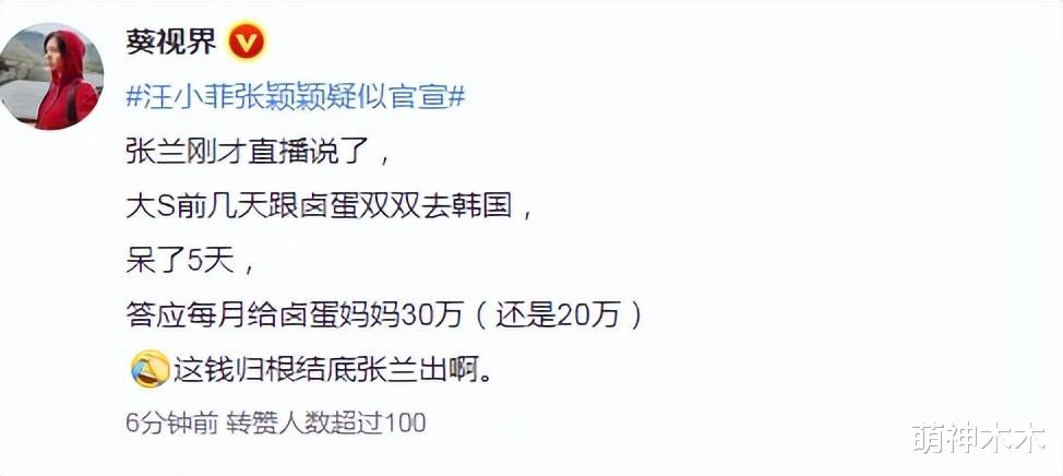 汪小菲|风波后续！汪小菲认爱张颖颖，张兰拒绝接受，蔡康永发文力挺大S