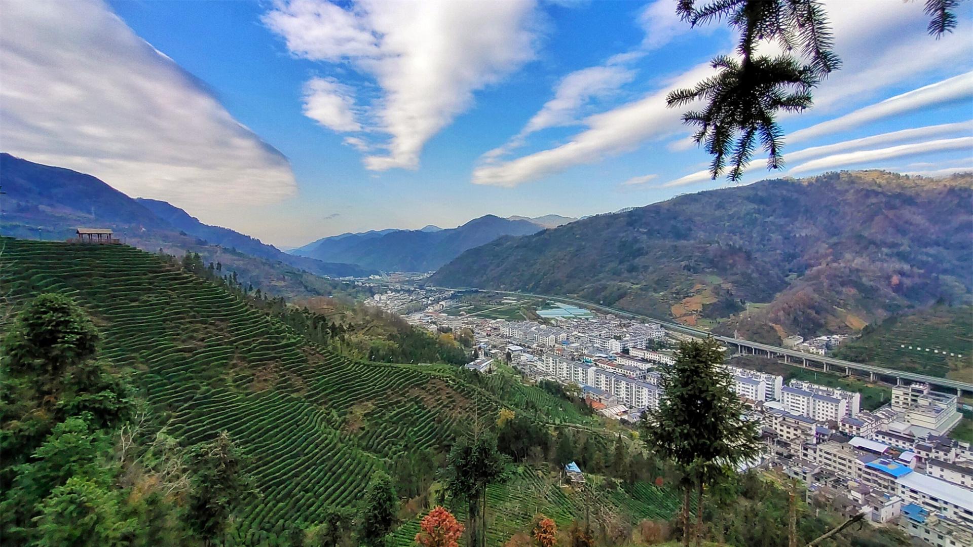 |初冬时节，长安茶山乡村风景宜人