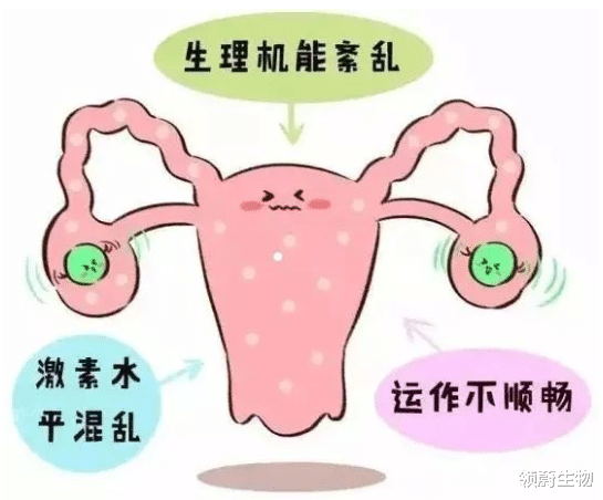 干细胞疗法,呵护女性“生命的花园”