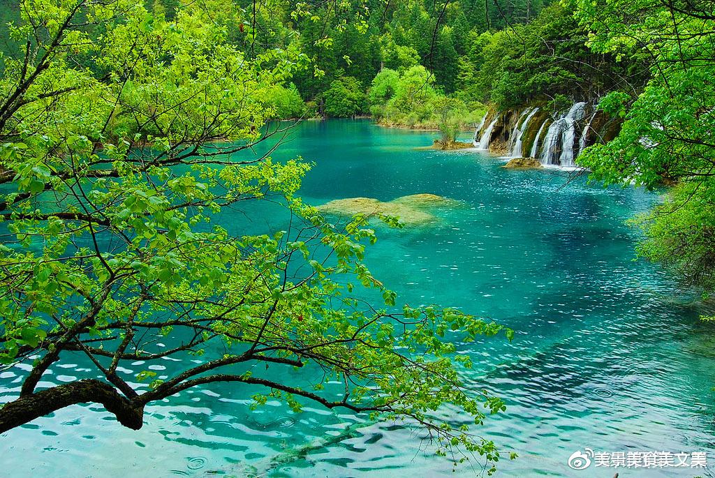 |夏天的九寨沟,绿意盎然,水幽蓝深邃,太美太凉爽
