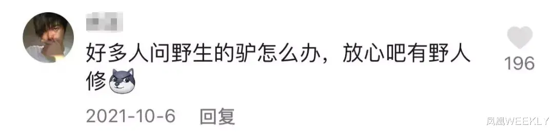 老中医 小毛驴“暴力”美甲：是谁爽翻了？