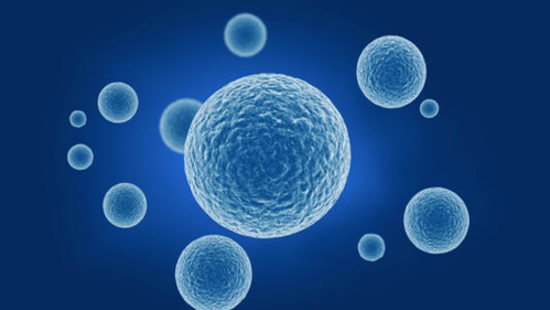 我们有望实现永生?科学家找到了能无限分裂的细胞,已有5000万吨