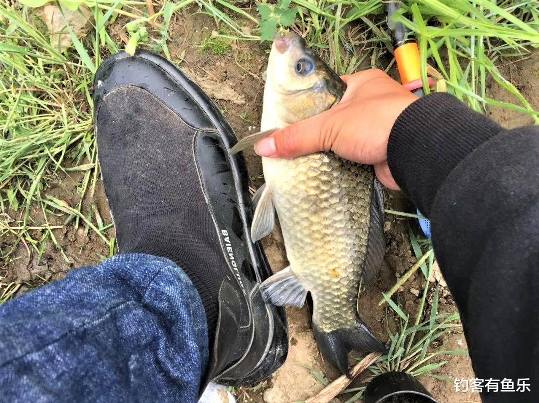 饵料|都说春季的下雨天最好钓鱼,如果这几方面不注意,照样没有渔获