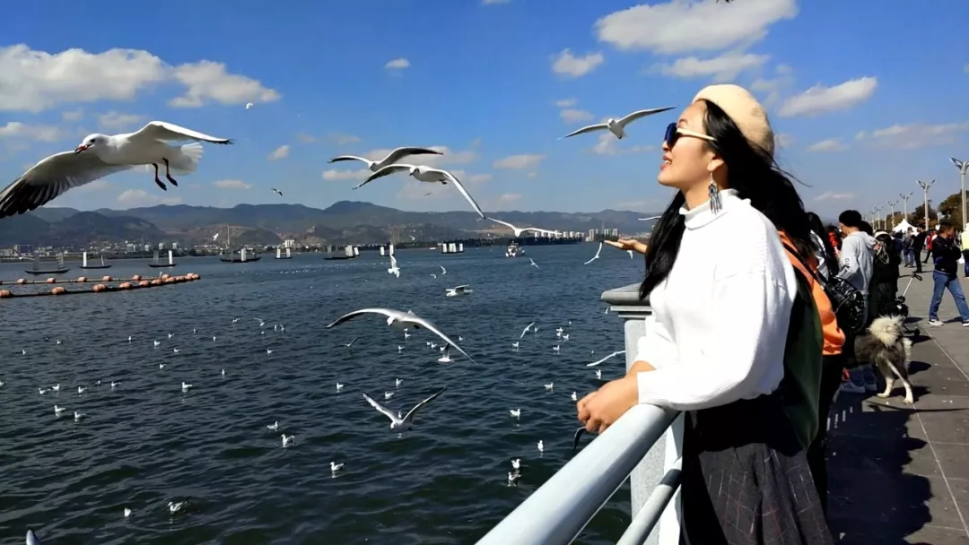 青岛市|青丘缘起，荷海芳华，除了荷花，你还能在普者黑看到什么？