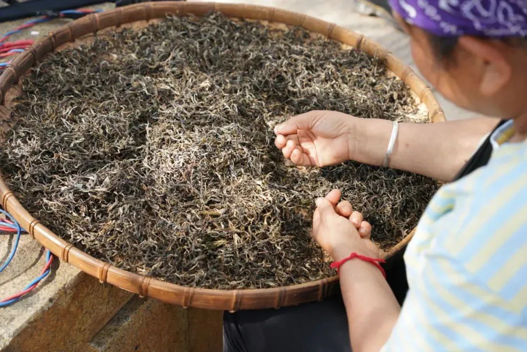 云南|最多336元！云南两大旅游胜地火车直达，这趟列车每一站都绝美