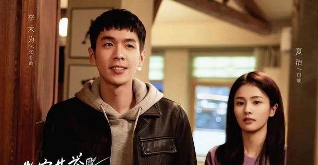 向风而行|《向风而行》,半部好剧