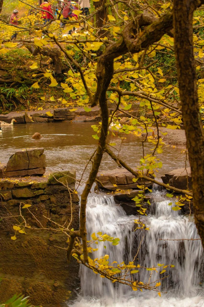 六盘水|它是中国唯一凉都,空调都是摆设,超过30度有警报