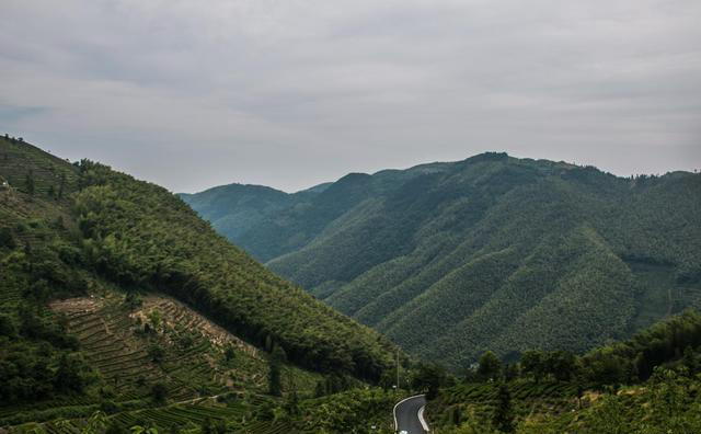 旅游业|富阳安顶山上的“茶生活、茶文化、茶景色”让人迷醉和羡慕