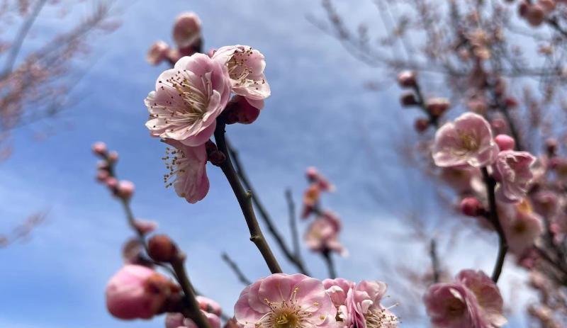 面试|为什么不建议在简历上撒谎？