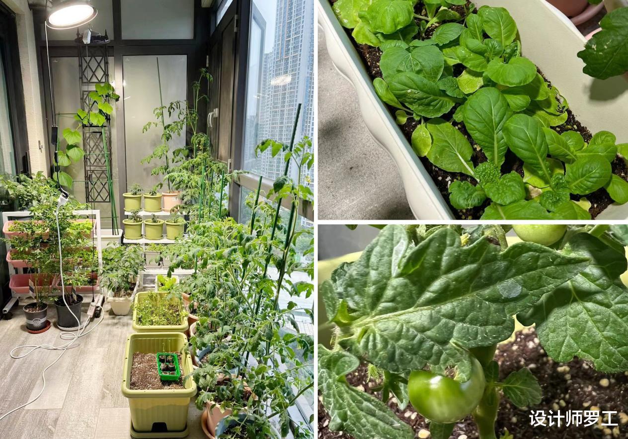 解封后,我会改造家的这4个地方,老妈说,像回到了90年代