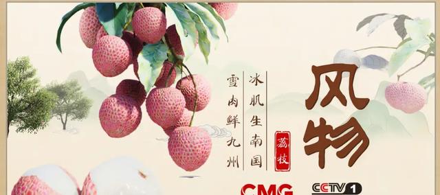 风物|龙洋:继续受重用,CCTV-1《风物》成为今年接手的第4档全新节目