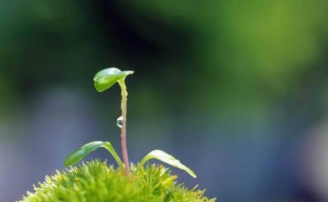 案例:一家五口惨遭灭门,嫌犯归案后称自己“被逼无奈”