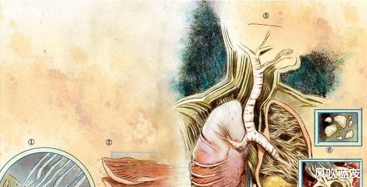 蝙蝠的秘密研究:关于海王的身体构造解析,与有效反制措施