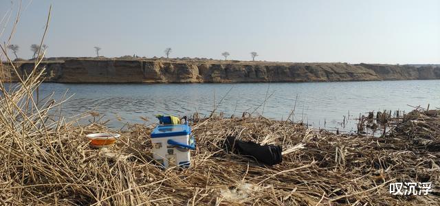 大板|清明过后,遇到这种天气请假也要去钓鱼,大板鲫排队咬钩