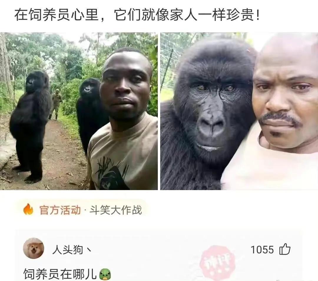 网贷|沙雕网友日常：网贷也不过如此