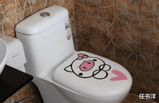 马桶设计两个按钮多此一举?用了20多年才知道,功能各不相同