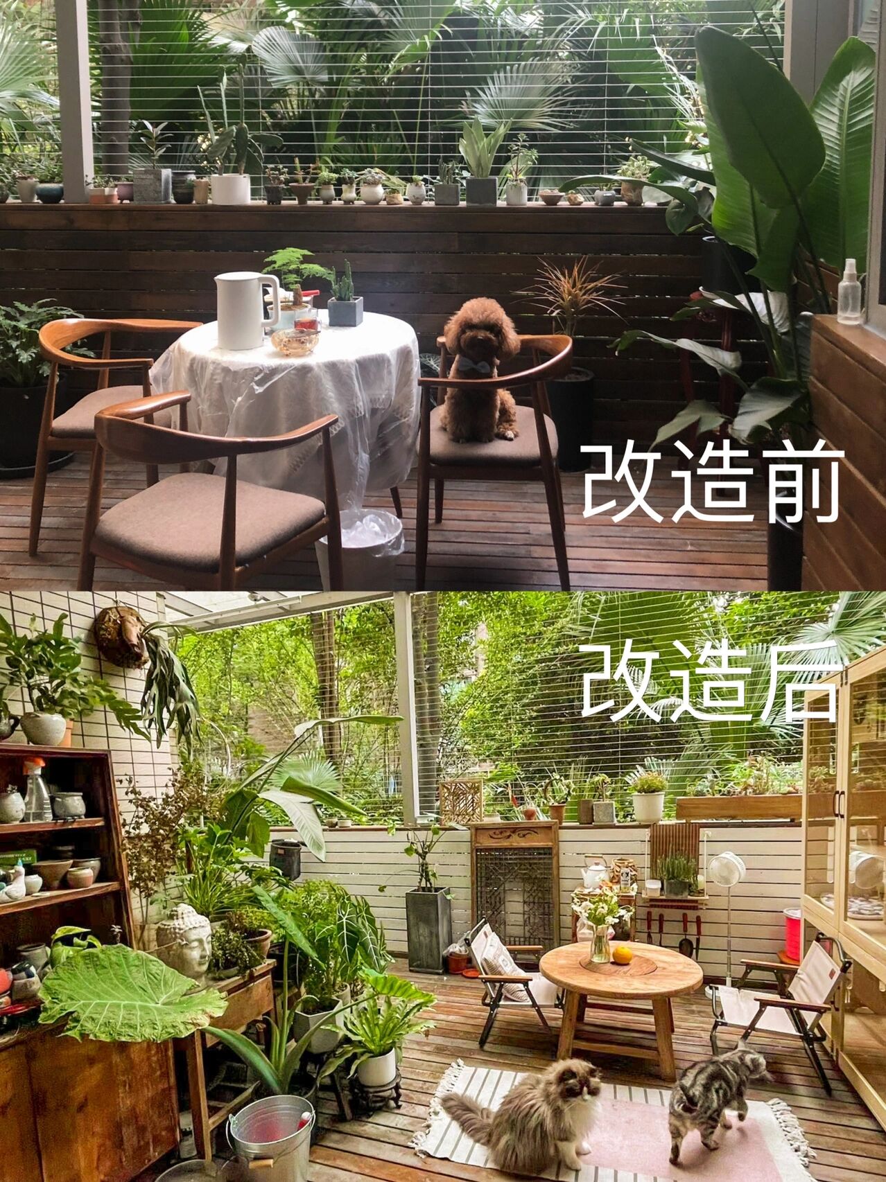 不顾父母反对,还是买了一楼带院的房子,种满植物花草就是花园