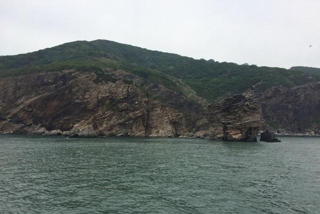 20000条毒蛇成蛇岛主人,毒性越来越强,为什么还需人类保护?