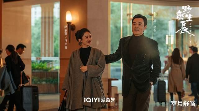 杨幂|《风吹半夏》同样喜欢“赵丽颖”，把李光洁和欧豪对比，差异明显