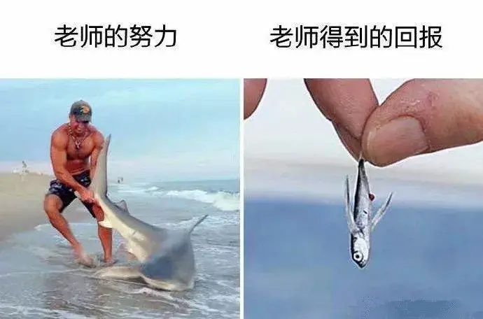 |搞笑：老师是最辛苦的职业之一，快来心疼心疼他们