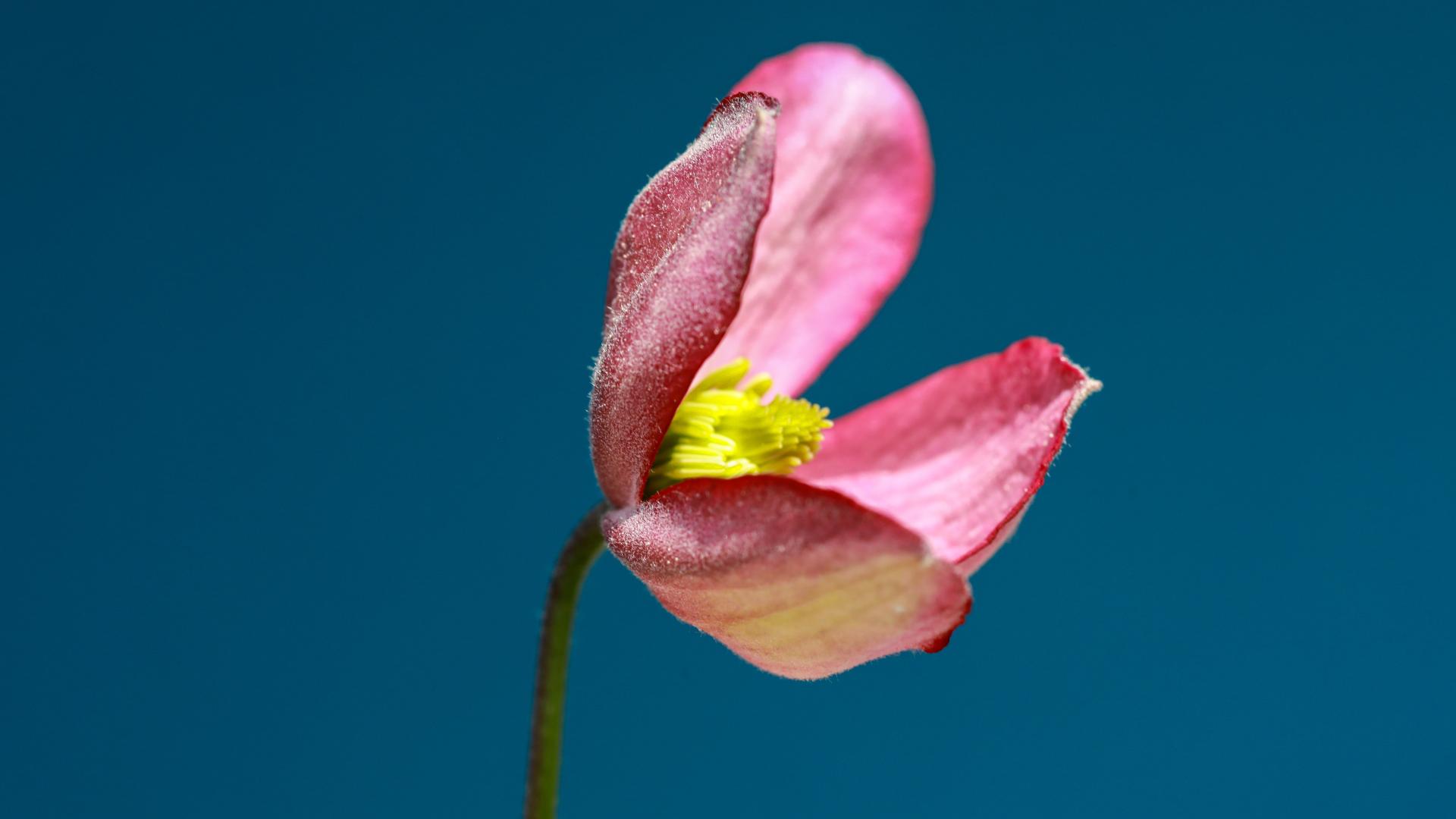 宋慧乔|“领导力”和“管理力”的区别原来在这里！