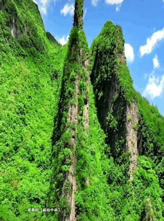 重庆|重庆神奇的刀片山，薄如纸片，到底是如何形成的？