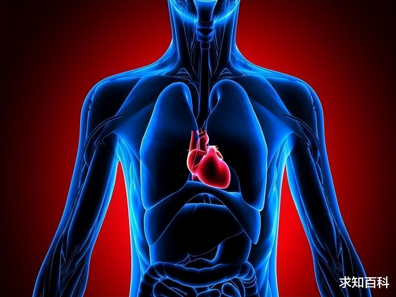 人死后还能听到声音?科学家称:临终告别注意谨言慎行