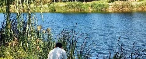 鲫鱼|清明过后野钓大鲫鱼，找准这些位置下竿，鱼儿上不停