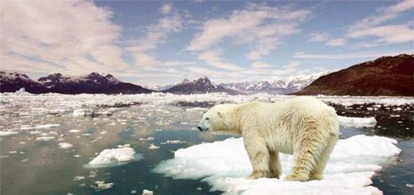 “全球变暖”将会停止，全球要开始降温了？有专家称：气温将会下降迅猛