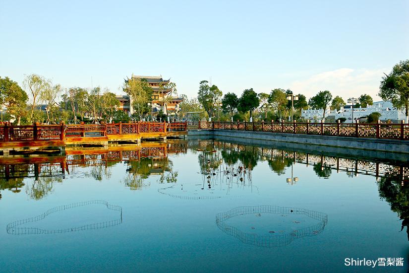 古镇|上海唯一紧靠海边的寺庙，离海岸线不到100米，门票停车饮用水均免费