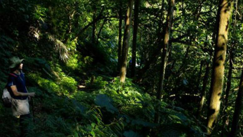 旅游业|淡兰古道秘境，必走的朝圣之路