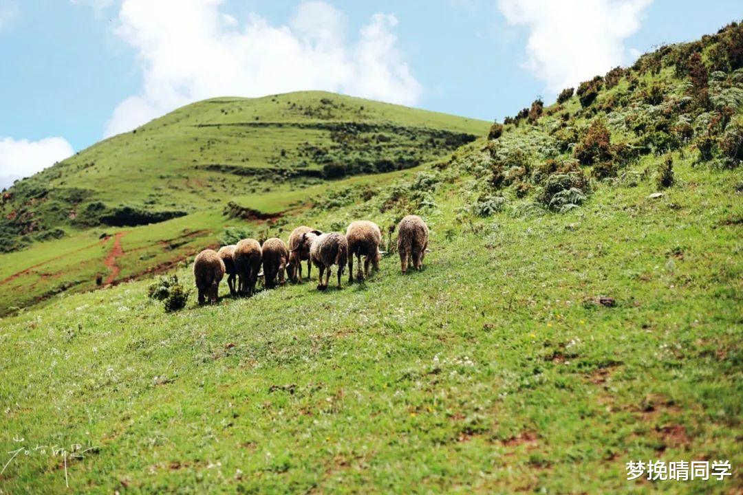 古镇|夏天去哪避暑?七八月还要穿外套的这五个地方,凉快又好玩